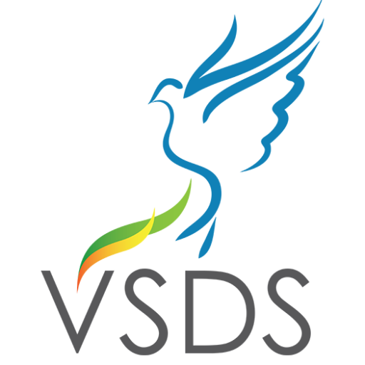 VSDS